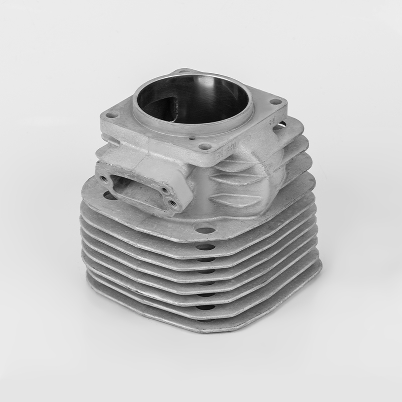 ZL170(Φ52) Serie de bloques de motor de alto rendimiento